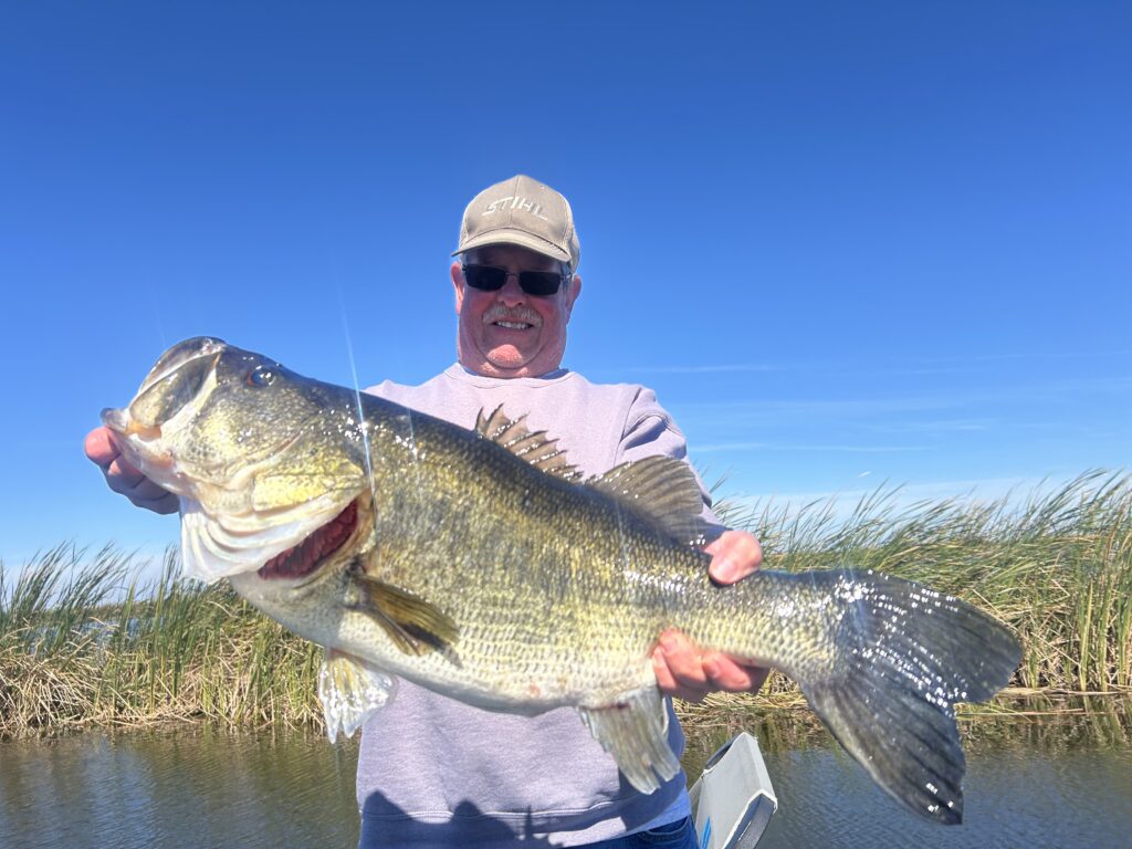 10 pound 12 ounce bass