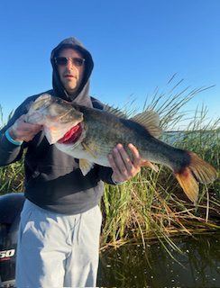 Jackpot! Monster 10lb Bass Caught on Headwaters